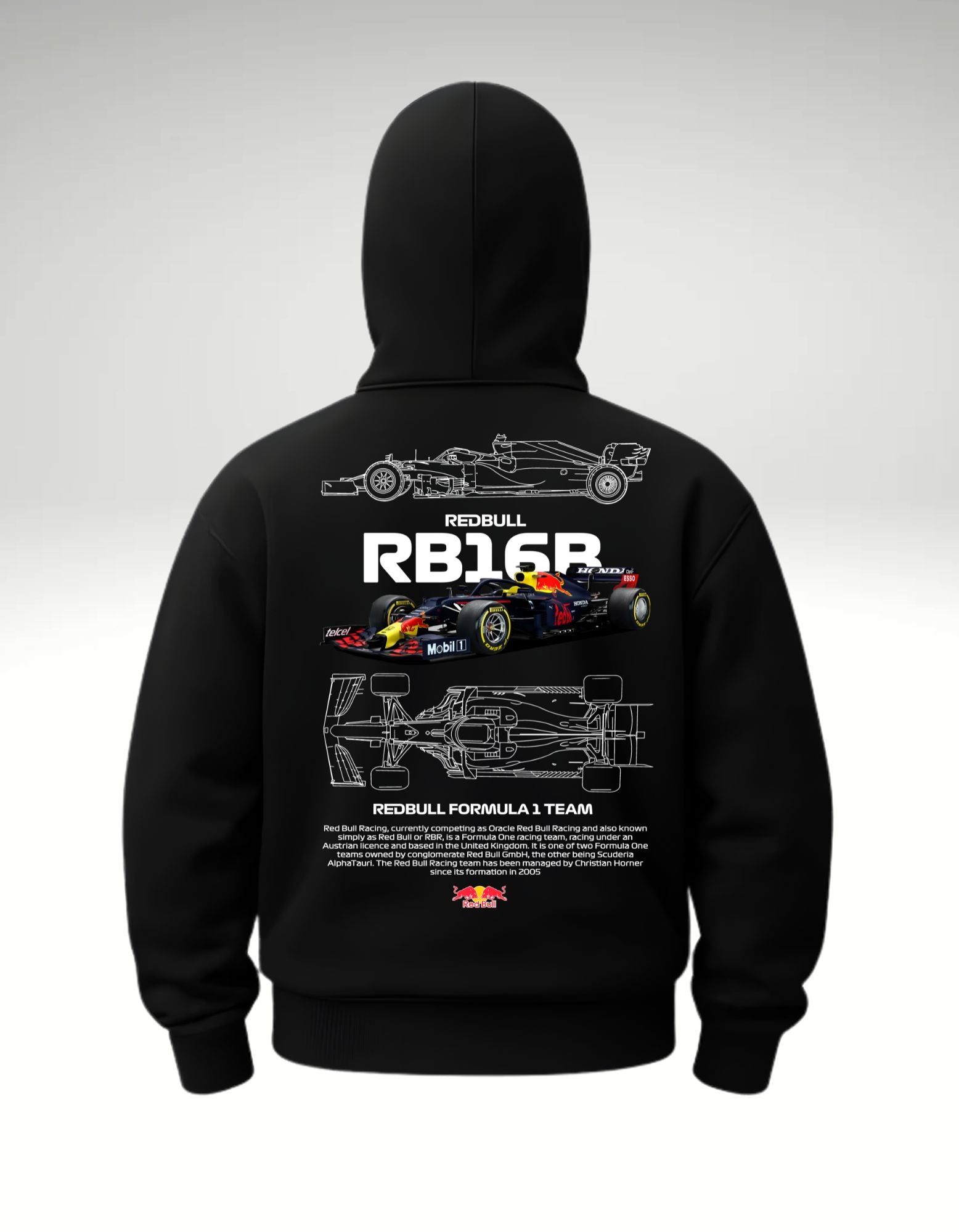 Red Bull F1 RB16B Racing