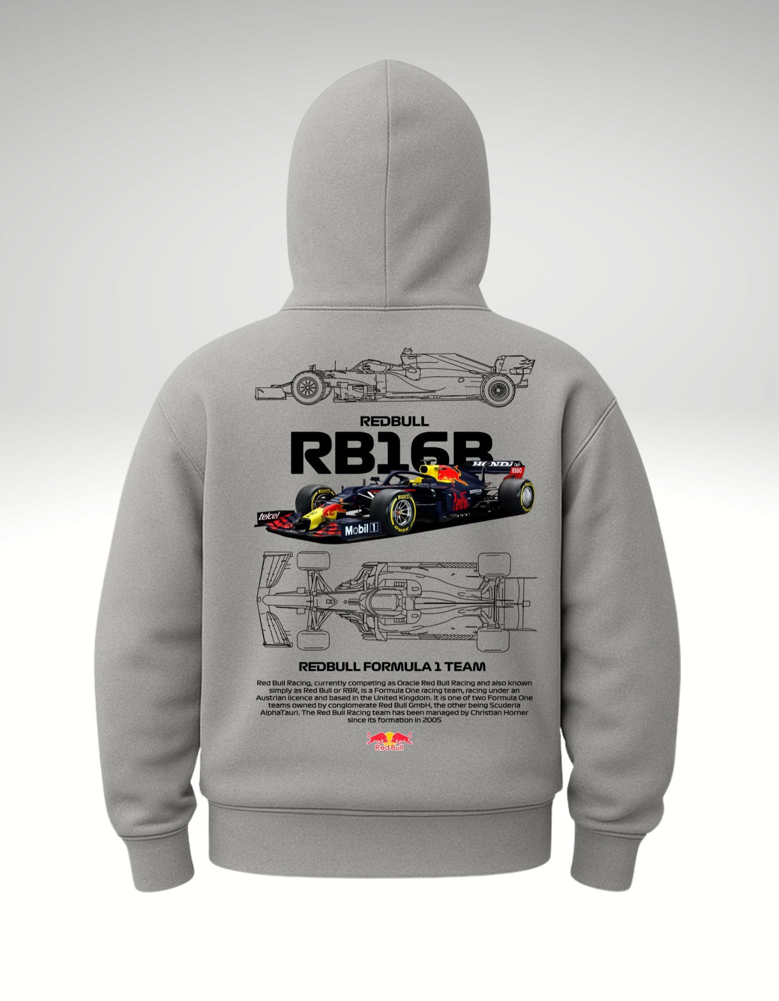 Red Bull F1 RB16B Racing