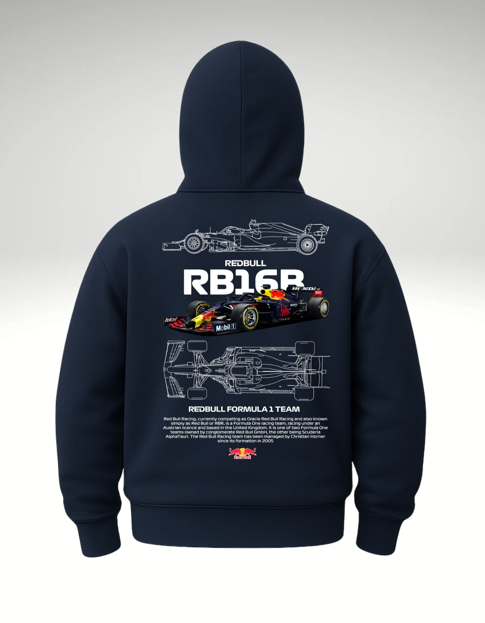 Red Bull F1 RB16B Racing